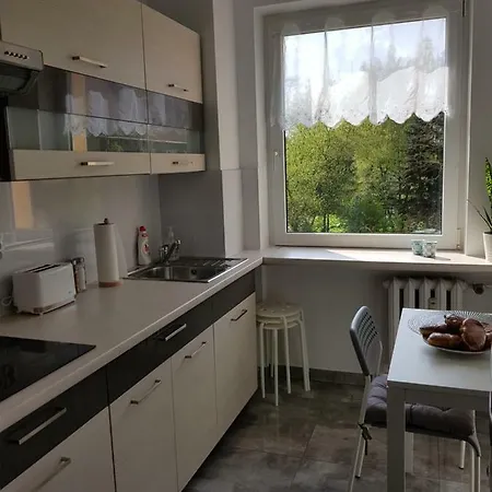 Nad Morzem Lynx Apartment