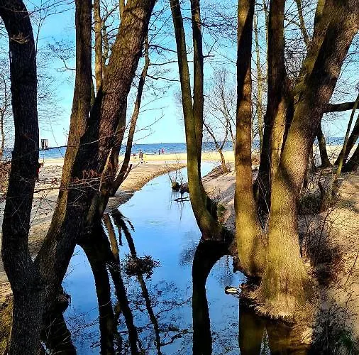 Nad Morzem Lynx Apartment